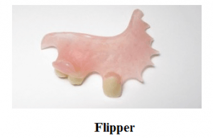 Flipper